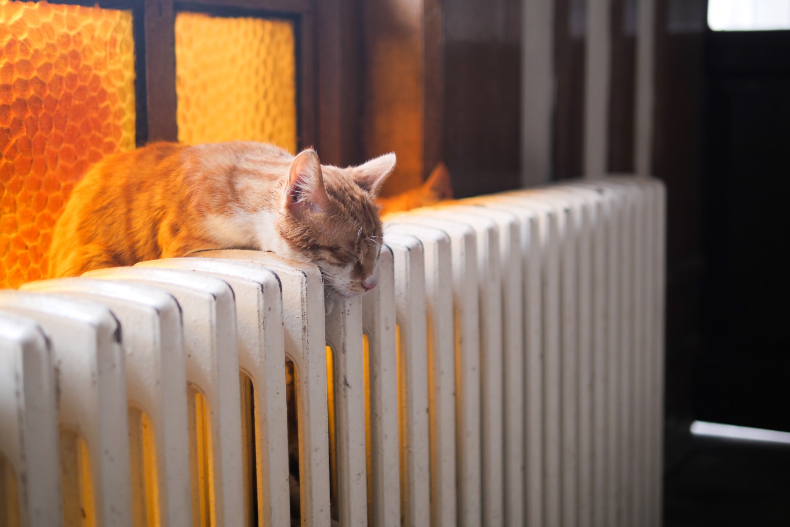 A cat is peacefully lounging on a radiator, joyfully basking in the warm sunlight that streams in